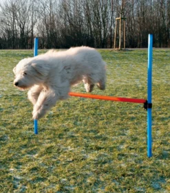 Trixie Agility Hurdle - springtræning til hunde