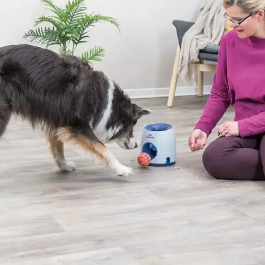 Trixie Hunde aktivitets spil Ball & Treat - sjovt spil til hunde