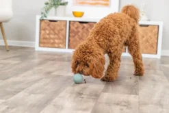 Trixie snack bold ø 6 cm - aktiveringslegetøj til hunde