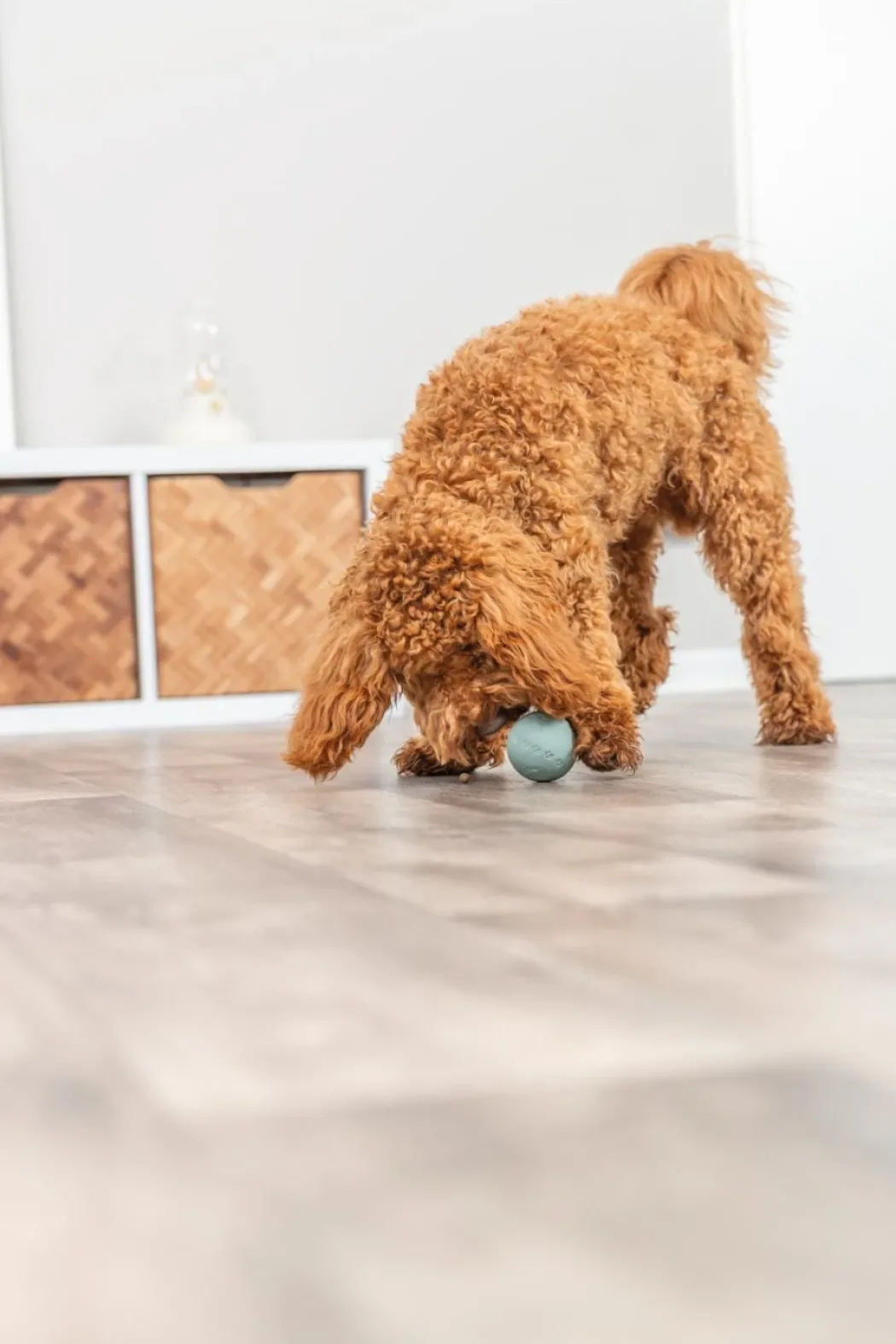 Trixie snack bold ø 6 cm - aktiveringslegetøj til hunde
