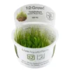 Tropica Taxiphyllum barbieri 'Bogor Moss' 1-2-GROW