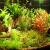 Tropica Ugens sortimentskasse 160 stk
