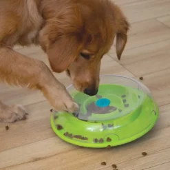Wobble Bowl Grøn Niveau 1 - interaktiv foderskål til hunde