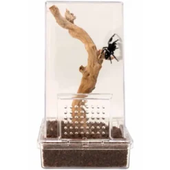 Zoo Med Spring Edderkop Kit 7,6 x 7,6 x 15,25 cm